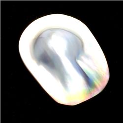 APP: 0.5k Natural Form Mabe Pearl Gemstone