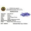 Image 2 : APP: 1k 25.00CT Amethyst Parcel