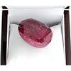 Image 1 : APP: 11.3k 665.35CT Oval Cut Ruby Gemstone