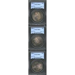 1881-S S$1 MS64 PCGS, two examples, both are well struck with excellent surface preservation, both d