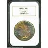 Image 1 : 1885-O S$1 MS65 NGC. Exceptionally toned with vivid blushes of lemon, lavender, and electric-blue pa