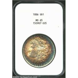 1886 S$1 MS65 NGC. Rich golden-brown and electric-blue swaths of color compete for territory. Boldly