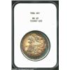 Image 1 : 1886 S$1 MS65 NGC. Rich golden-brown and electric-blue swaths of color compete for territory. Boldly