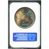 Image 2 : 1886 S$1 MS65 NGC. Rich golden-brown and electric-blue swaths of color compete for territory. Boldly