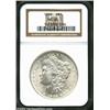 Image 1 : 1902 S$1 MS66 NGC. A lustrous and brilliant Gem that has seemingly pristine fields. Minor weakness o