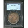 1902 S$1 MS66 PCGS. The borders have iridescent aqua, apple-green, violet, and copper-gold patina. W