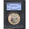 Image 1 : 1902 S$1 MS66 PCGS. The margins have light peach patina. A well struck and lustrous Gem with a virtu