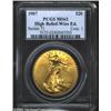 Image 1 : 1907 $20 High Relief, Wire Rim MS62 PCGS. A pleasing example of this popular and highly desirable on