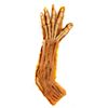 Image 1 : ROCK N ROLL NIGHTMARE Original Screen-Used Kitchen Demon Arm