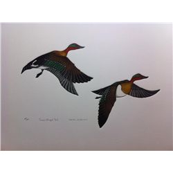 "Green Winged Teal" by Reita Nevin Quinlan
