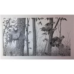 "Breaking Cover" - Bobwhite Quail by Blaine Billman