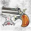 Image 1 : COBRA ENT DERR 32ACP CHROME WOOD- UPC Code: 832716001084