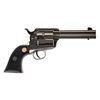 Image 1 : 1873 REVOLVER 22LR SILVER - CHI-187322BS