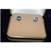 Image 1 : 10K GOLD BLUE TOPAZ EARRINGS