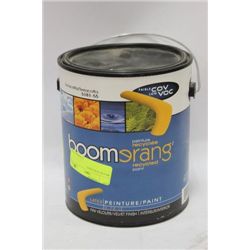 BRAND NEW PAINT, TERRACOTTA COLOR