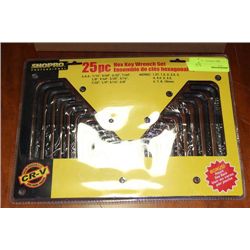 25 PC HEX KEY WRENCH SET