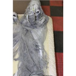 WALL HANGING SKELETON