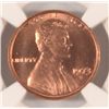 Image 2 : 1973-S LINCOLN CENT, NGC MS-66 RED!  RARE! THERE HAVE BEEN NO SALES OF MS-67 RED