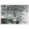 Image 3 : Zane Grey