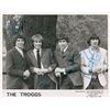 Image 1 : The Troggs