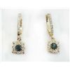Image 1 : ALEXANDRITE RD 0.42CT,  14K Y/G EARRING 3.17GRAM / DIMAOND RD0.53CT