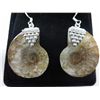 Image 1 : Custom made Ammonite sterling silver earrings