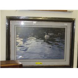 Framed print "Testing the Waters" by Daniel Smith