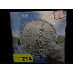 2014 .9999 silver RCM $20  Summertime coin