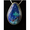 Image 1 : Signed Wayne Eagleboy sterling pendant