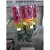 Image 1 : Four plastic bongs.