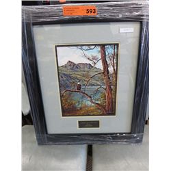 Framed print by David Darse