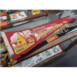9 Vintage souvenir pennants
