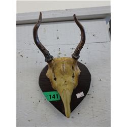 Horned wall ornament