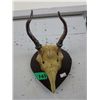 Image 1 : Horned wall ornament
