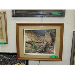 Signed, Ltd edition print by Herbert Pikl