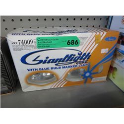 Automotive lights with blue bulb marker