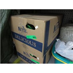 Case of Kettle Brand Yogurt & green onion chips
