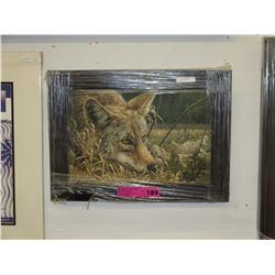 Framed print by Denis Mayer Jr.