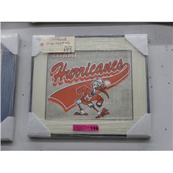 Miami Hurricanes logo silk screen
