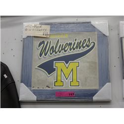 Michigan Wolverines logo silk screen