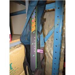 Kevlar skis in carrying bag.