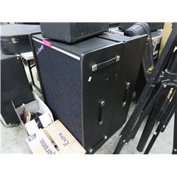 Cordovax amplifier & speaker