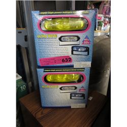 2 Ultrawhite automotive halogen lights