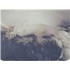 Image 2 : Framed Nude - Louis Icart Print
