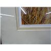 Image 3 : Artist Signed 