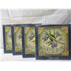 Image 1 : LOT 4 LES OLIVES DU MIDI TRIVET
