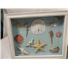 Image 2 : LOT 5 SEASHELL DISPLAYS & SHELVES