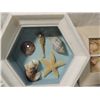 Image 3 : LOT 5 SEASHELL DISPLAYS & SHELVES