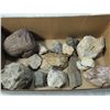 Image 1 : LOT 14 LARGE ROCKS
