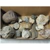 Image 2 : LOT 14 LARGE ROCKS